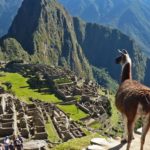 Visiting Machu Pichu